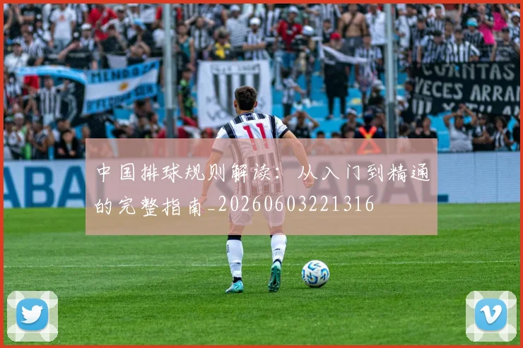 中国排球规则解读:从入门到精通的完整指南_20260603221316