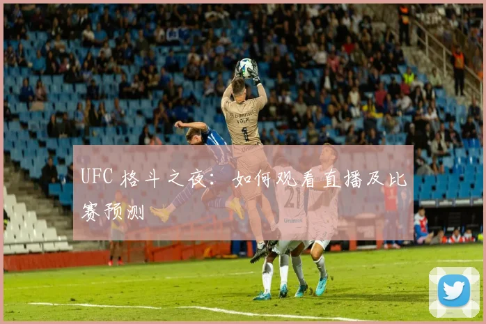 UFC 格斗之夜：如何观看直播及比赛预测