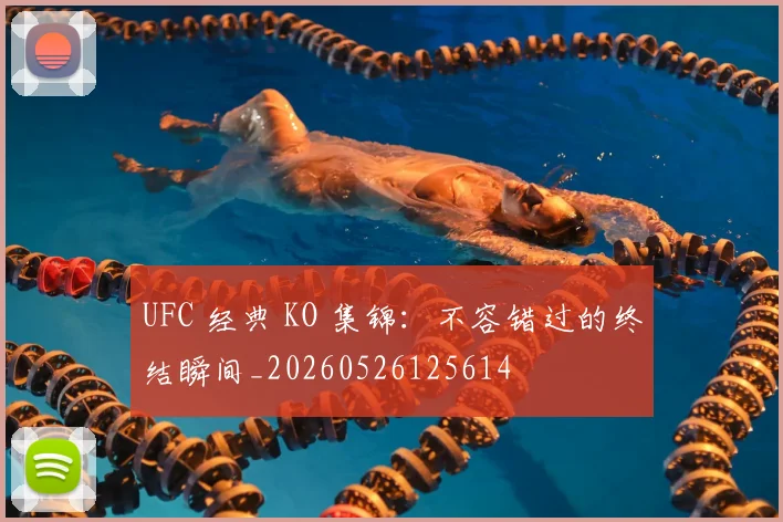 UFC 经典 KO 集锦:不容错过的终结瞬间_20260526125614