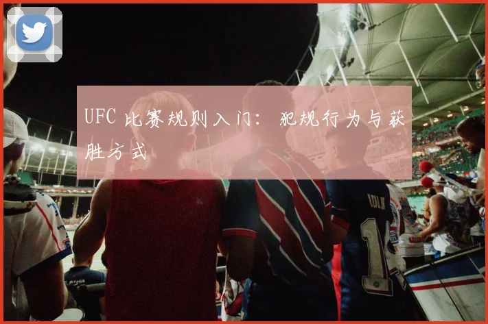 UFC 比赛规则入门:犯规行为与获胜方式