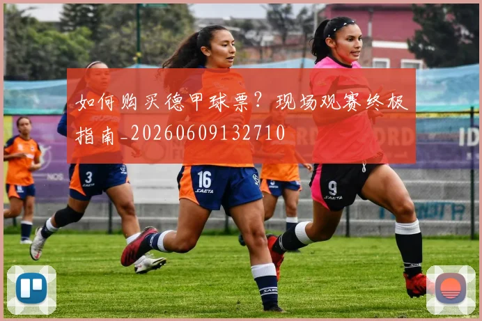 如何购买德甲球票?现场观赛终极指南_20260609132710
