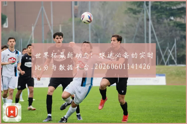 世界杯最新动态:球迷必备的实时比分与数据平台_20260601141426