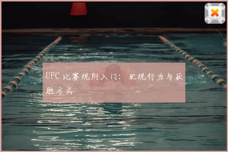 UFC 比赛规则入门:犯规行为与获胜方式